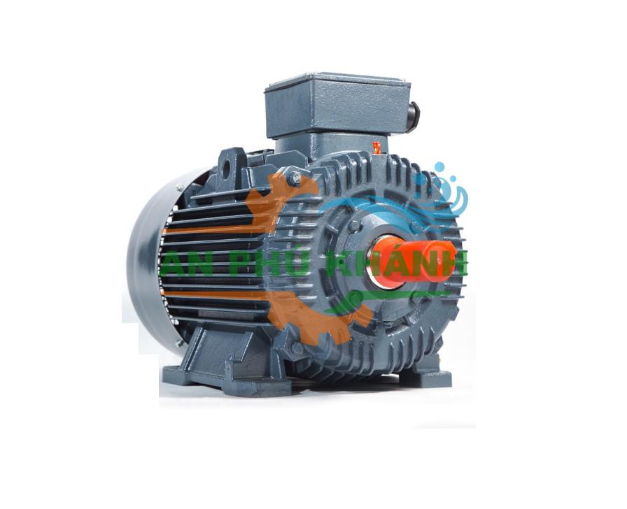 Động cơ điện Enertech Động cơ điện Enertech